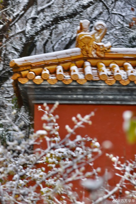 2026南京初雪 2026南京初雪