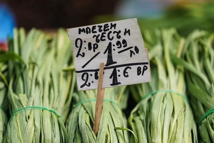 这个国家,加入欧元区 这个国家,加入欧元区