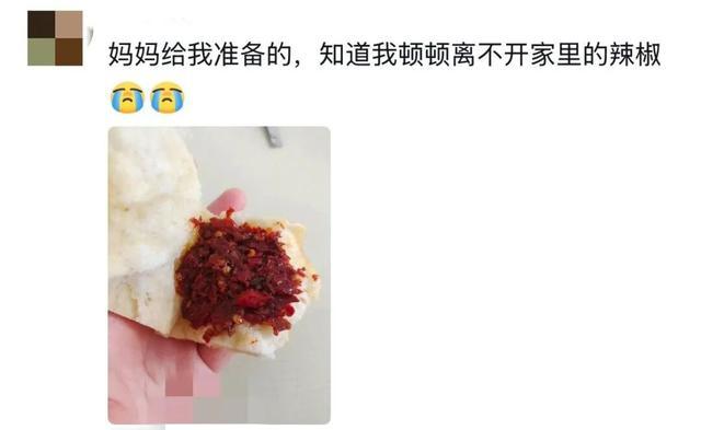 “妈妈我明天开始减肥！”“行，那今天晚上给你炖红烧肉”
