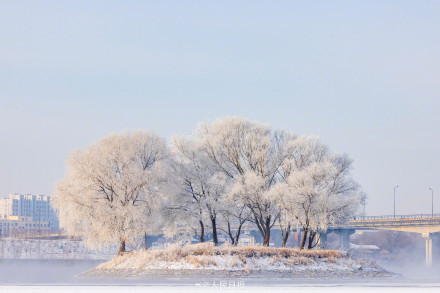 羡慕！吉林市民喜提凇景房