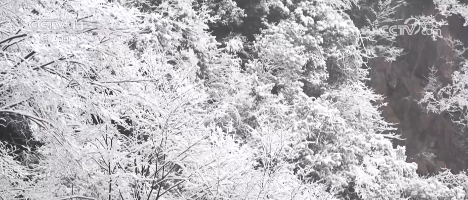 多地新年迎降雪 各部门协同除冰铲雪保畅通护航百姓游玩安全