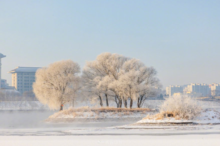 羡慕！吉林市民喜提凇景房