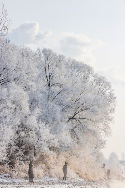 羡慕！吉林市民喜提凇景房