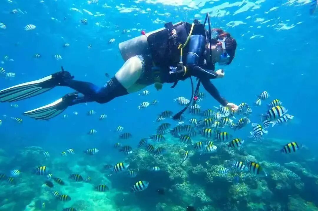 海口、三亚入境游客猛增！这个假期，海南旅游“热”迎新年