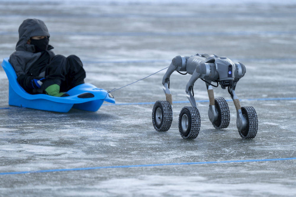 中外游客相聚“尔滨”体验冰雪跨年