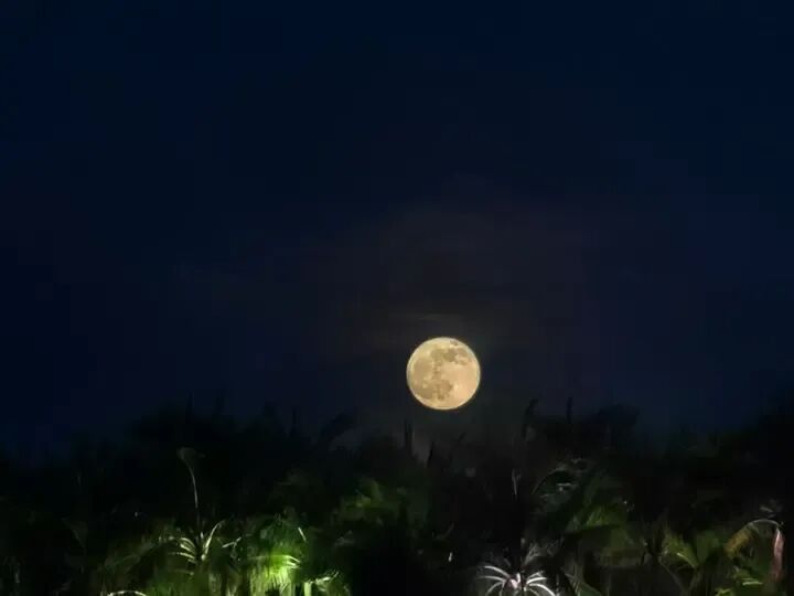 抬头,看今年首个“超级月亮”!等你来晒图→ 抬头,看今年首个“超级月亮”!等你来晒图→