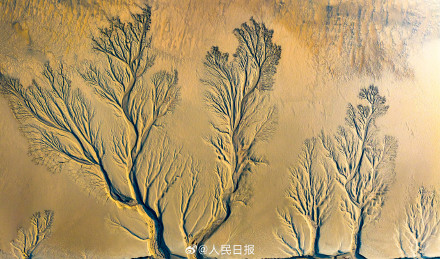 钱塘江潮汐树美出版画质感