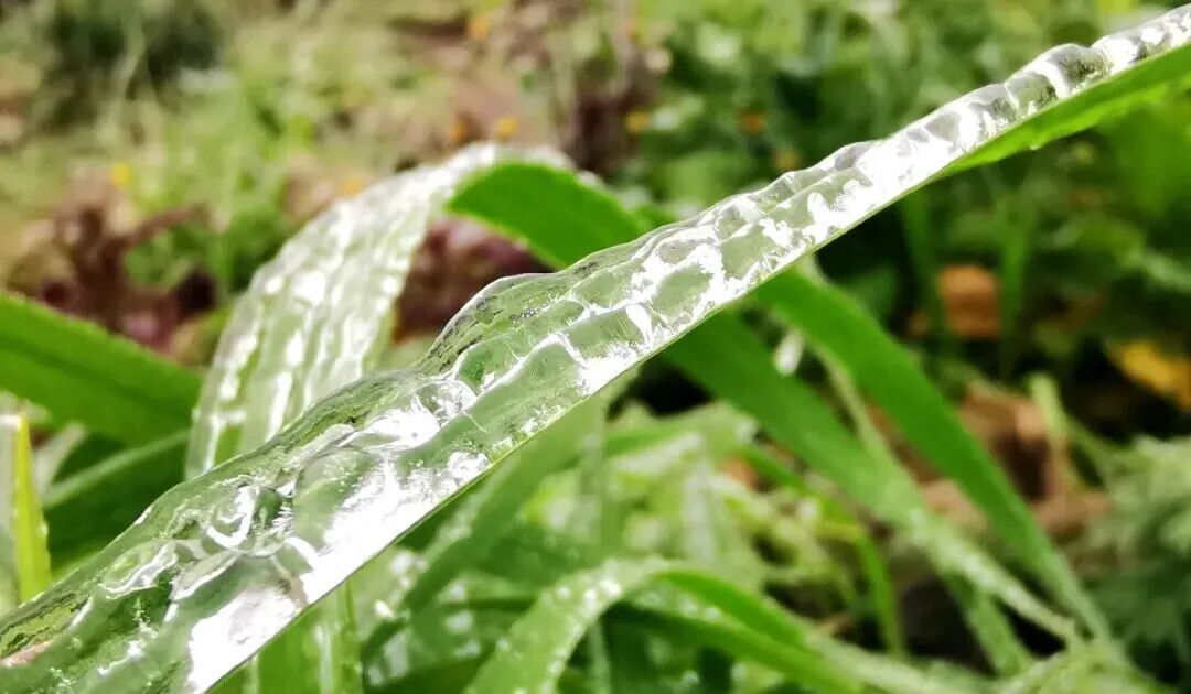 贵阳最低温-3.3℃!贵州15处路段因凝冻交通管制 贵阳最低温-3.3℃!贵州15处路段因凝冻交通管制