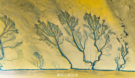 钱塘江潮汐树美出版画质感