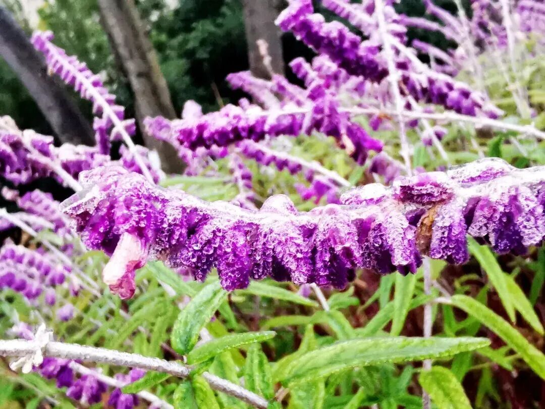 贵阳最低温-3.3℃!贵州15处路段因凝冻交通管制 贵阳最低温-3.3℃!贵州15处路段因凝冻交通管制