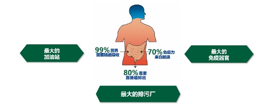 协和专家提醒:假期做对2件事,肠道 “转起来”,整个人变轻盈~ 协和专家提醒:假期做对2件事,肠道 “转起来”,整个人变轻盈~