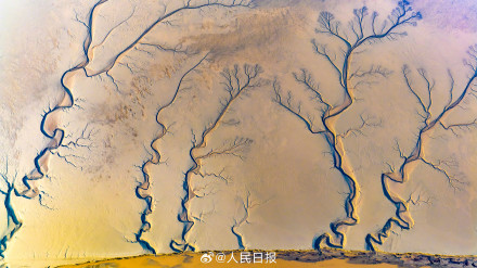 钱塘江潮汐树美出版画质感