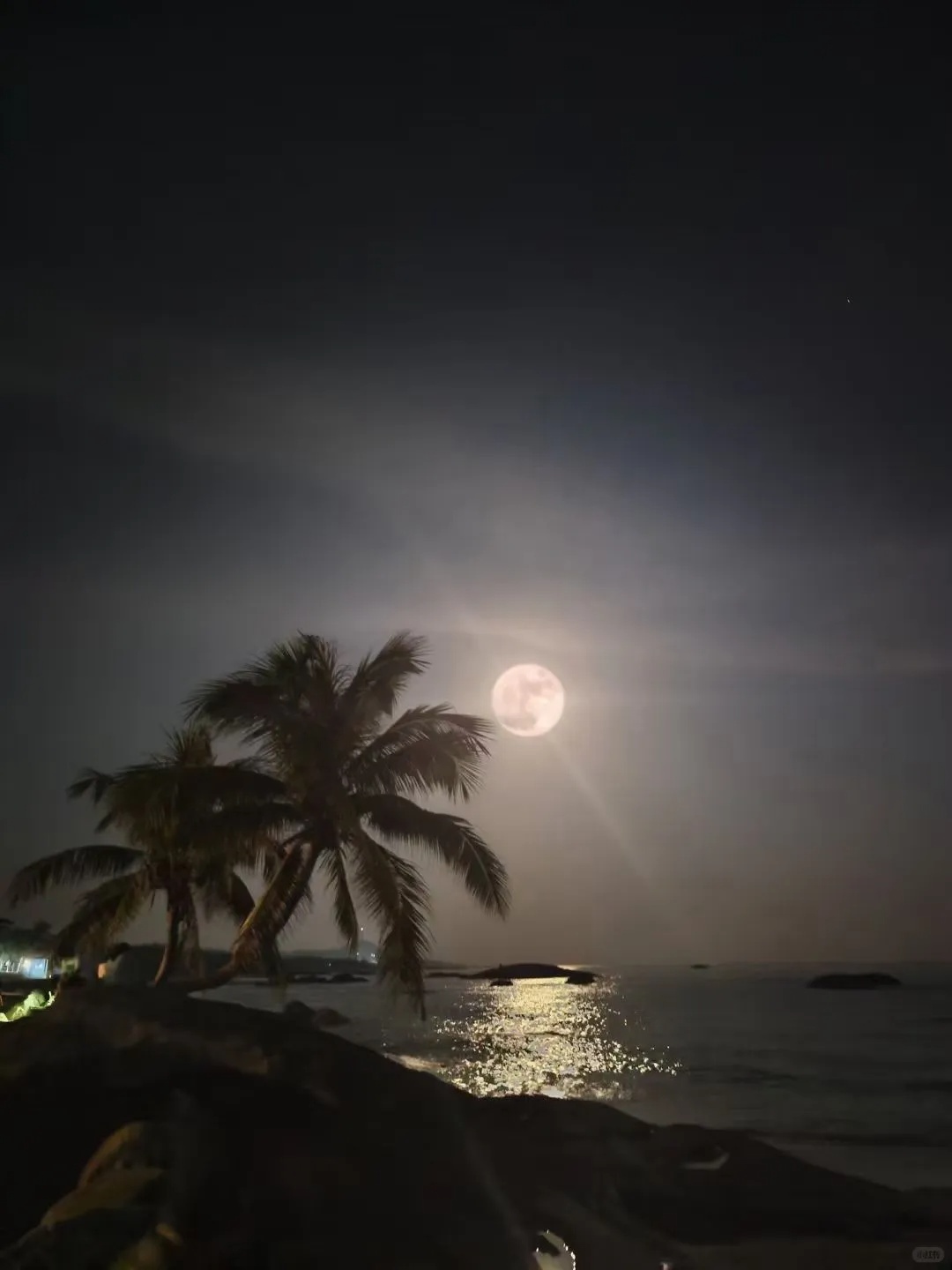 抬头,看今年首个“超级月亮”!等你来晒图→ 抬头,看今年首个“超级月亮”!等你来晒图→