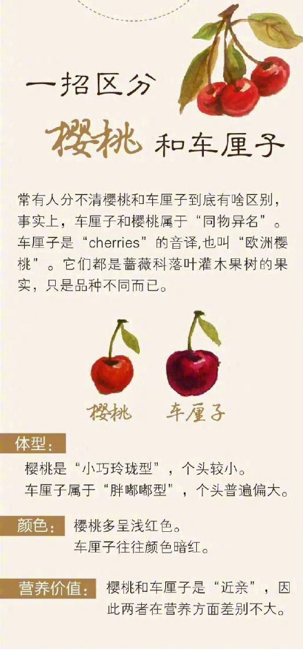 手把手教你选车厘子