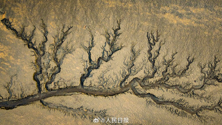 钱塘江潮汐树美出版画质感