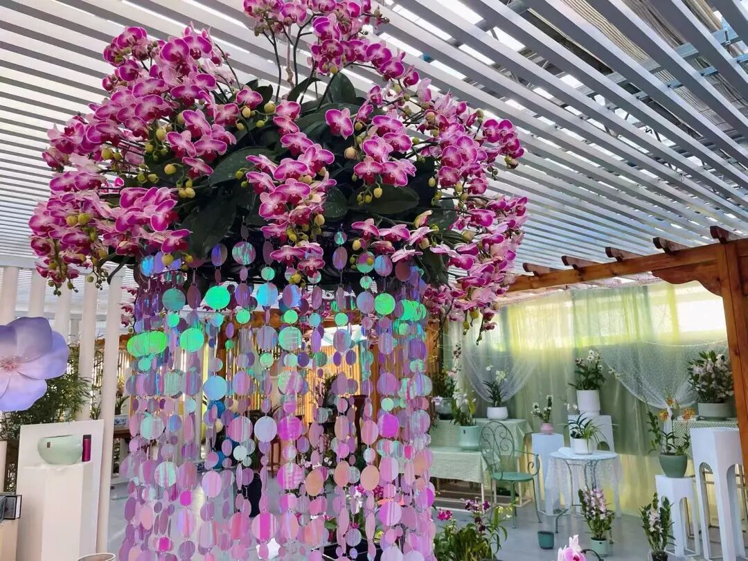 元旦假期北京公园游客同比增近四成，这三家公园最受欢迎→