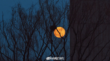 2026首个XXXL月亮来了