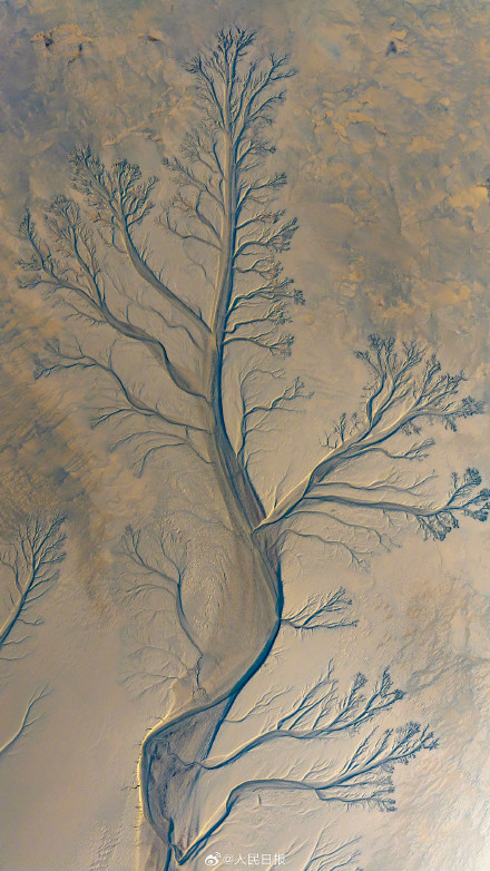 钱塘江潮汐树美出版画质感