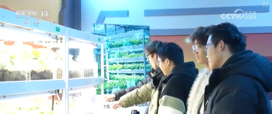 新年伊始“花”样迎新!“旅游+”古今交融新意浓 添彩假日文旅新画卷 新年伊始“花”样迎新!“旅游+”古今交融新意浓 添彩假日文旅新画卷