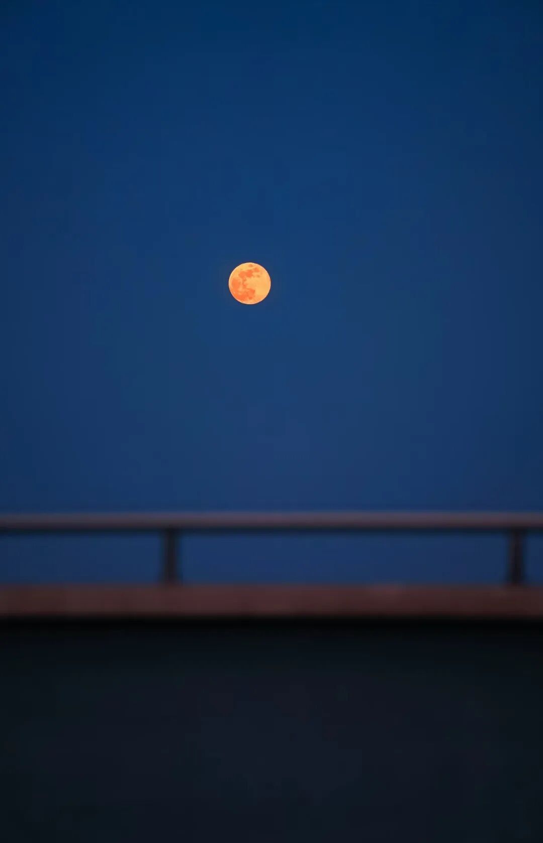 快，抬头看！你拍到了吗？