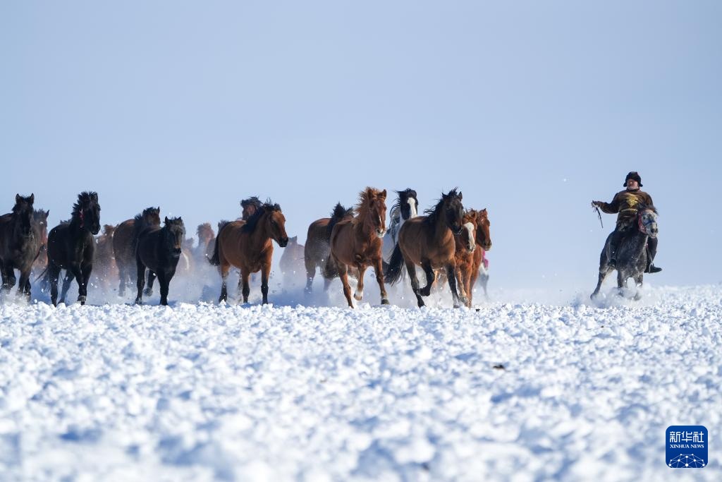 冰雪昭苏迎客来