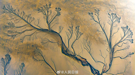 钱塘江潮汐树美出版画质感