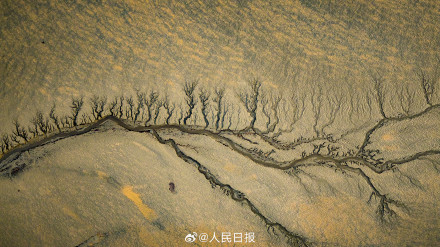 钱塘江潮汐树美出版画质感