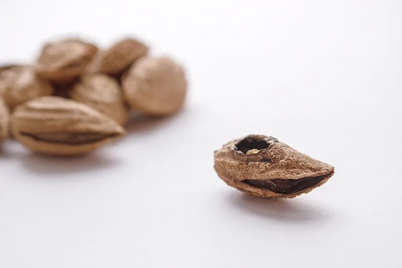 提醒！出现这些情况，这7类食物就不要再吃了