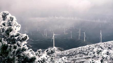 大自然的馈赠 广西桂林摩天岭现雾凇景观