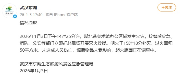 武汉东湖通报：起火原因正在调查，未造成人员伤亡，馆藏物品未受影响