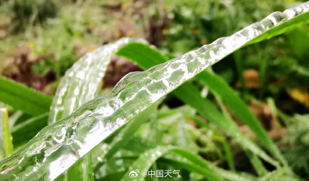 草木皆“冰”！贵阳现冻雨 最低温跌破冰点