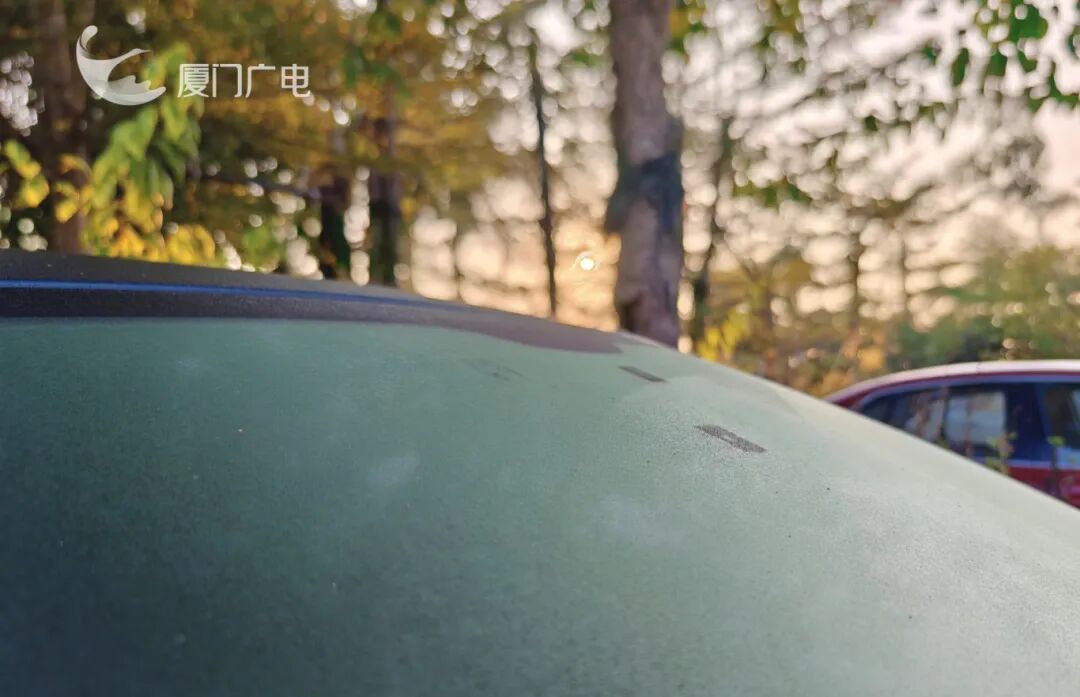 -1.2℃!厦门结冰了!气温刷新今冬新低!全省64条霜冻预警生效中…… -1.2℃!厦门结冰了!气温刷新今冬新低!全省64条霜冻预警生效中……