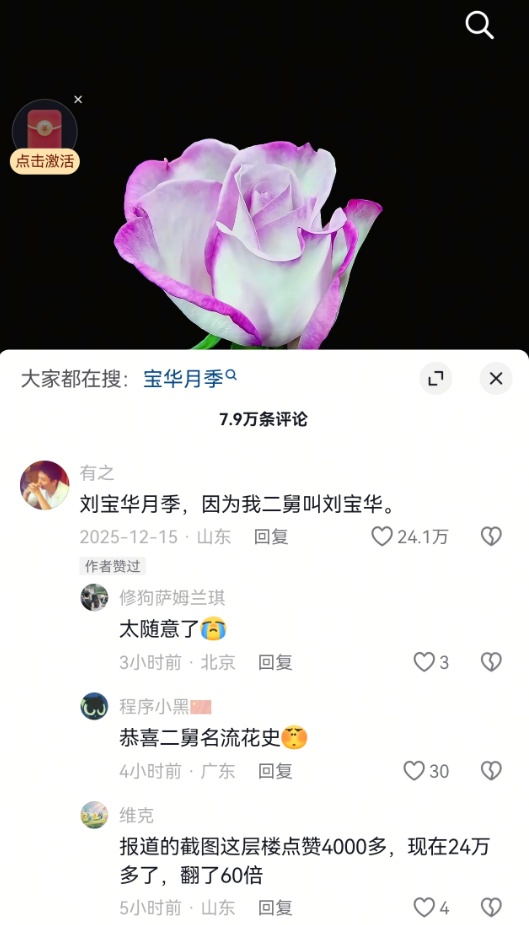 用二舅“宝华”命名的月季，初审通过