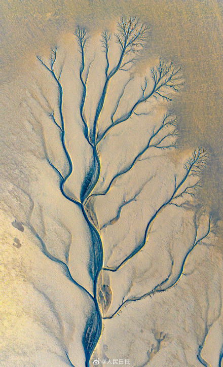 钱塘江潮汐树美出版画质感