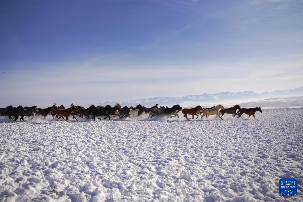 冰雪昭苏迎客来