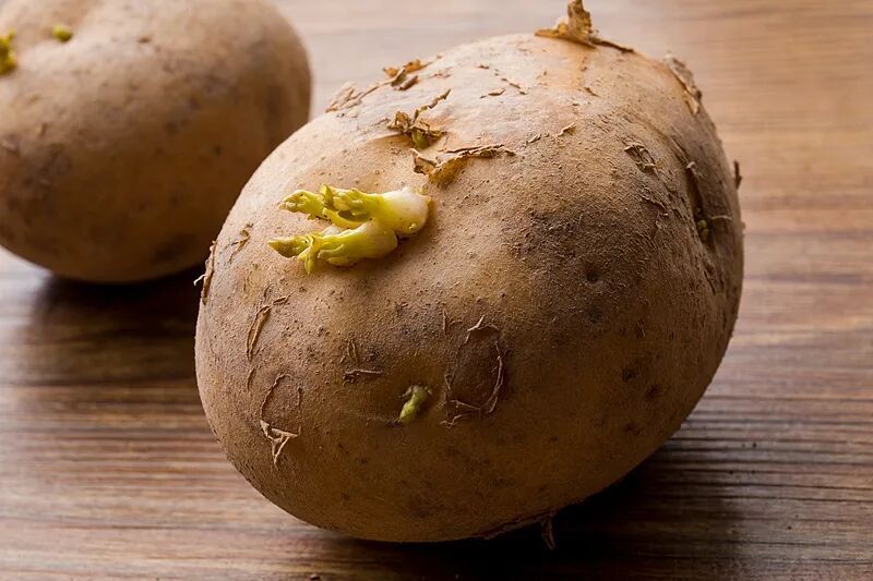 提醒！出现这些情况，这7类食物就不要再吃了