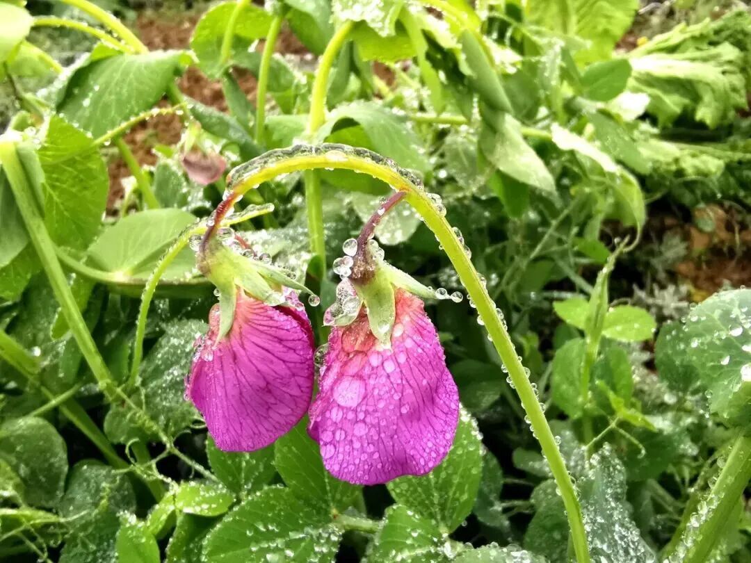 贵阳最低温-3.3℃!贵州15处路段因凝冻交通管制 贵阳最低温-3.3℃!贵州15处路段因凝冻交通管制