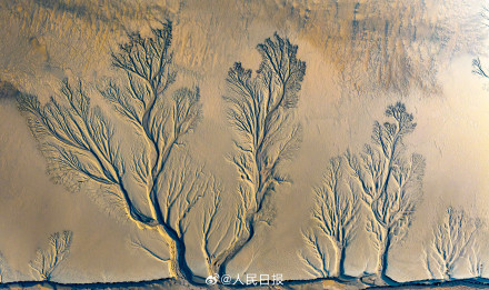 钱塘江潮汐树美出版画质感