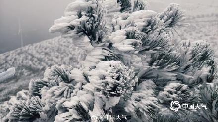 大自然的馈赠 广西桂林摩天岭现雾凇景观