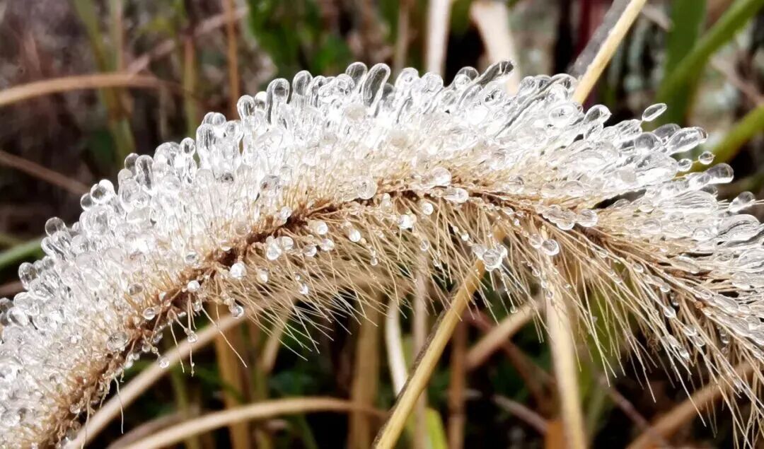 贵阳最低温-3.3℃!贵州15处路段因凝冻交通管制 贵阳最低温-3.3℃!贵州15处路段因凝冻交通管制