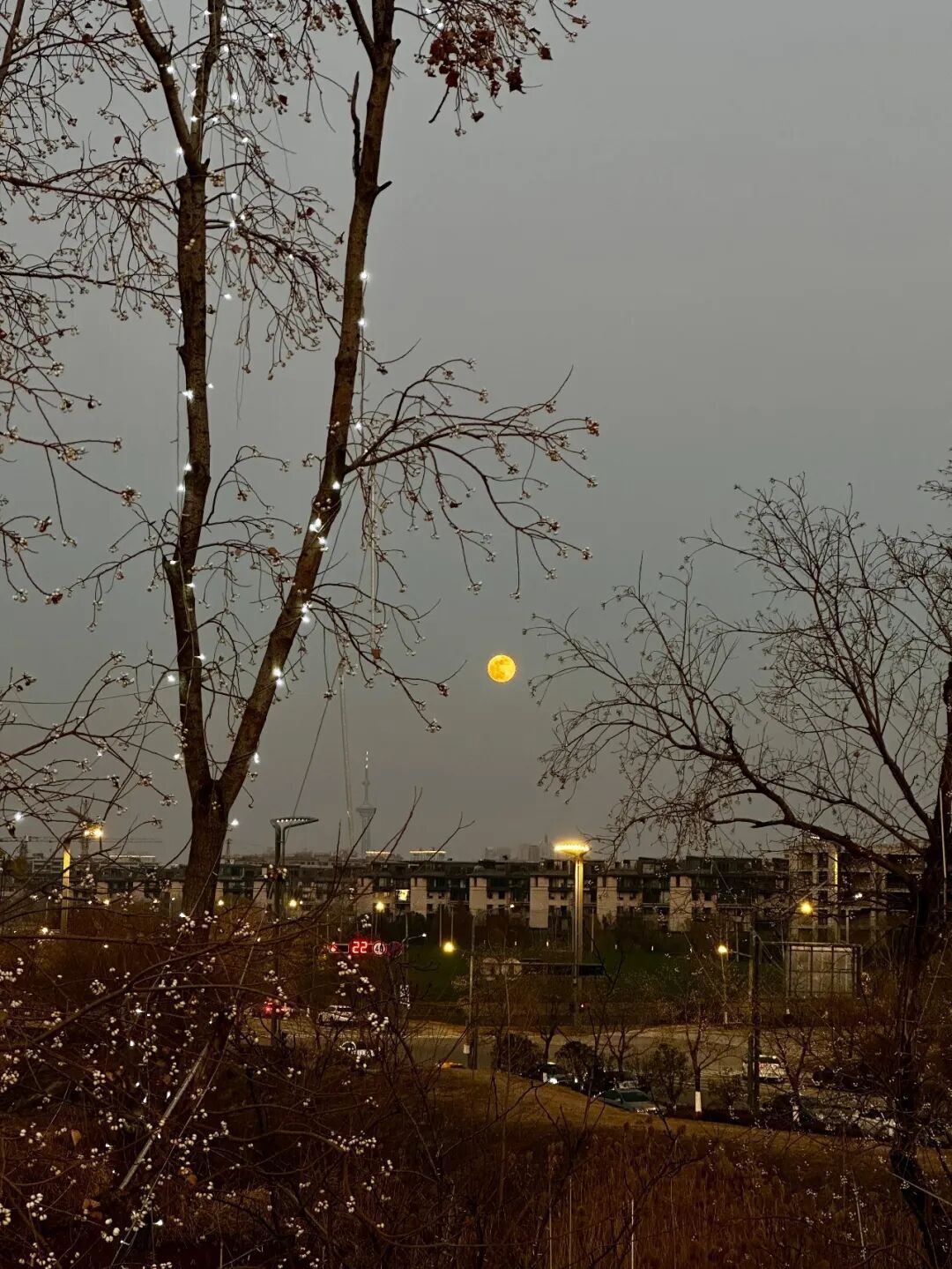 快，抬头看！你拍到了吗？