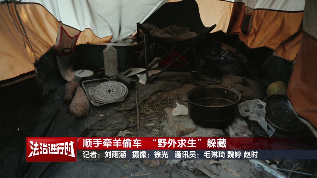 北京警方刑拘1名“荒野求生”爱好者