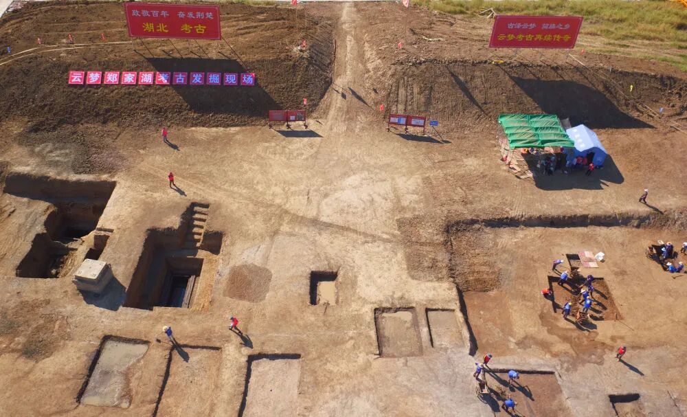 中国的家猫、家犬从哪来？有答案了