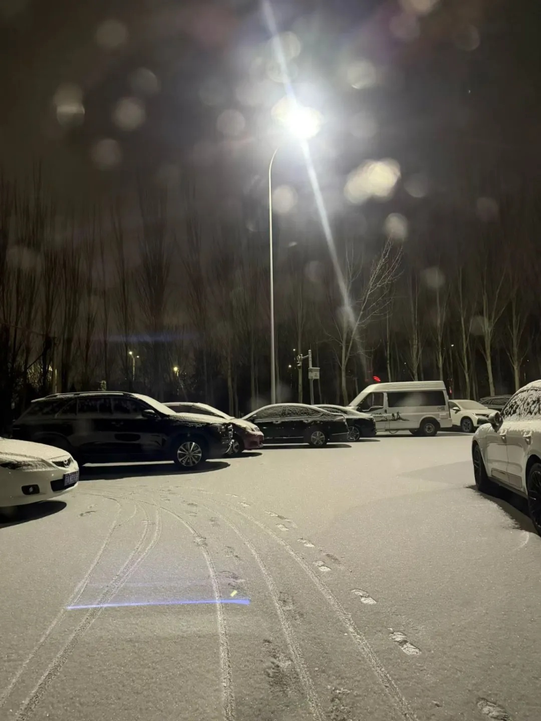 最低温-16℃！冻冻冻！宁夏这些地方还有雪……