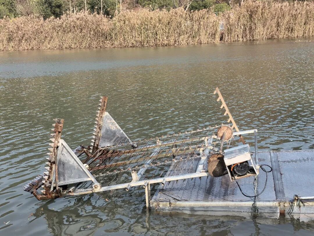 杭州河面上多了一艘“怪”船! 杭州河面上多了一艘“怪”船!