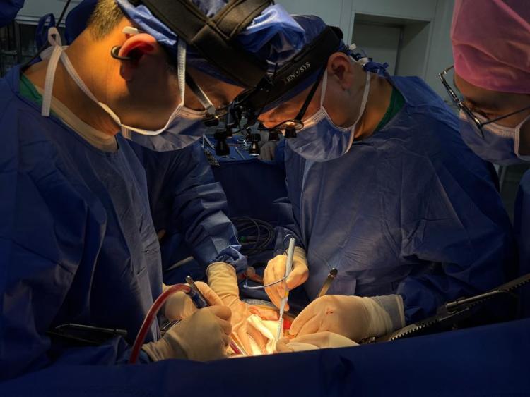 “一肝救两命”开启的珍贵“新生”