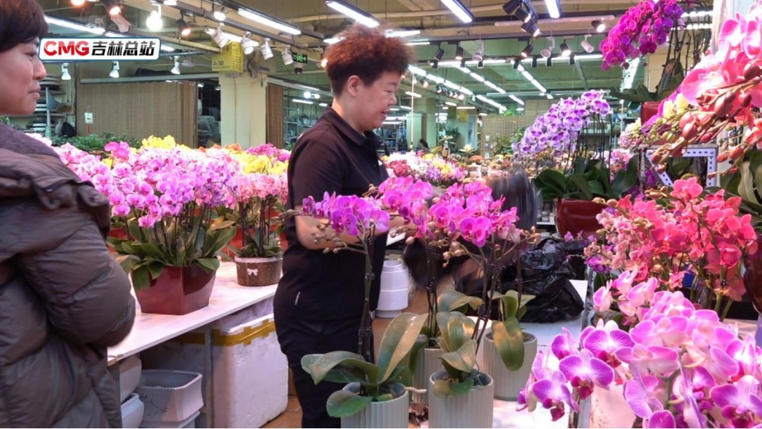 元旦假期长春水果花卉市场购销两旺 节日消费市场暖意浓 元旦假期长春水果花卉市场购销两旺 节日消费市场暖意浓