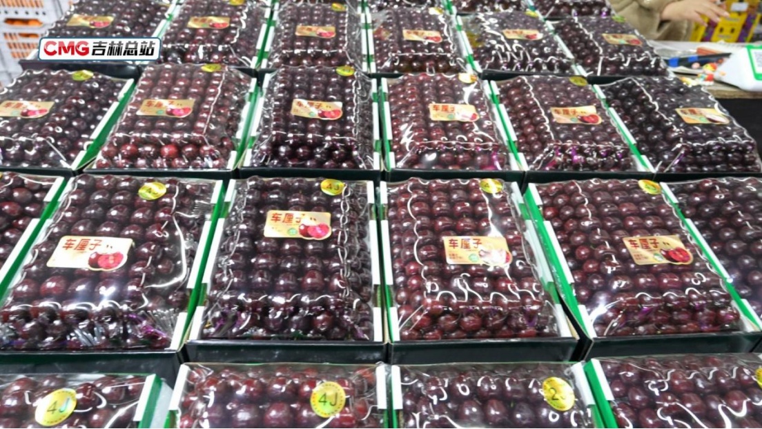 元旦假期长春水果花卉市场购销两旺 节日消费市场暖意浓 元旦假期长春水果花卉市场购销两旺 节日消费市场暖意浓