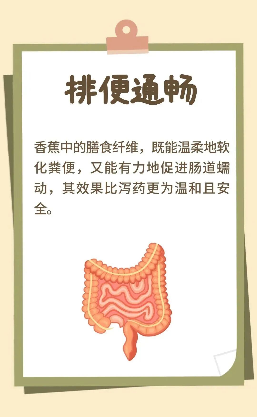 快转给爸妈！老人常吃“快乐果”，血压更稳心脏更好