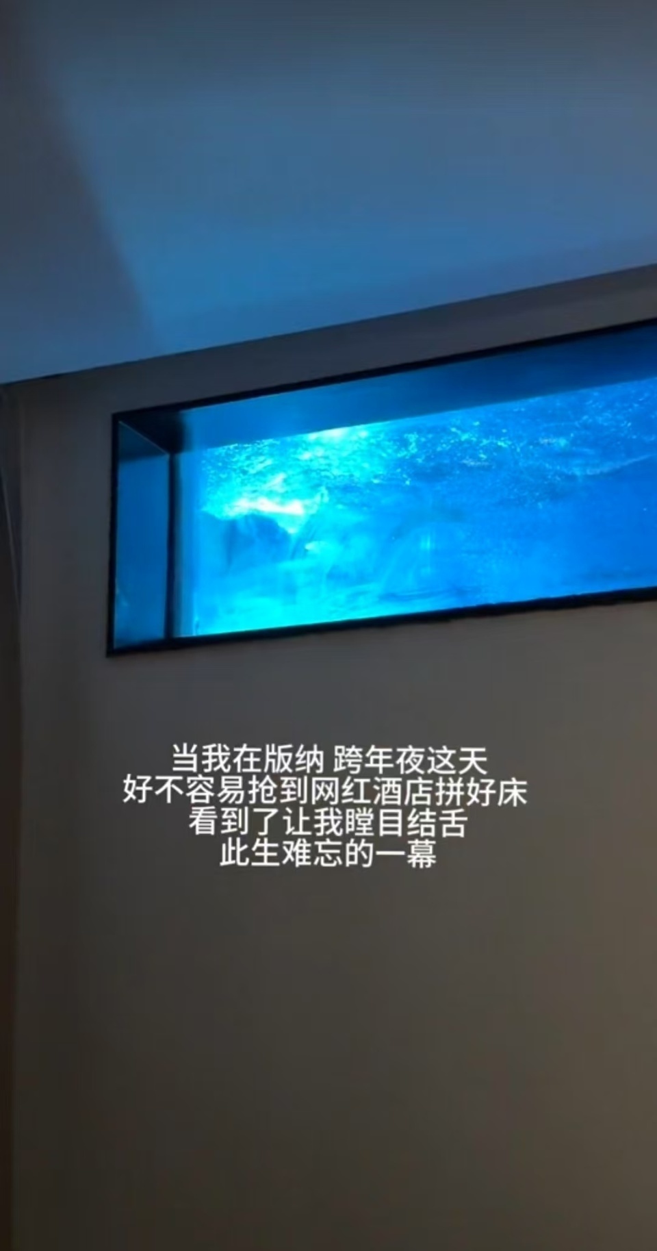 云南一酒店回应“房间拉开窗帘是泳池”：该房型已暂停售卖，将整改